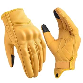 61sHT6b+VnL._UF350,350_QL50_.jpg